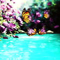 Butterfly Oasis – Vibrant Garden Pool Art
