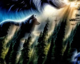 Mystic Wolf Spirit