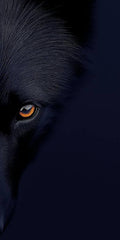 Shadow Wolf Eye – Dark Mystic Wildlife Art Print