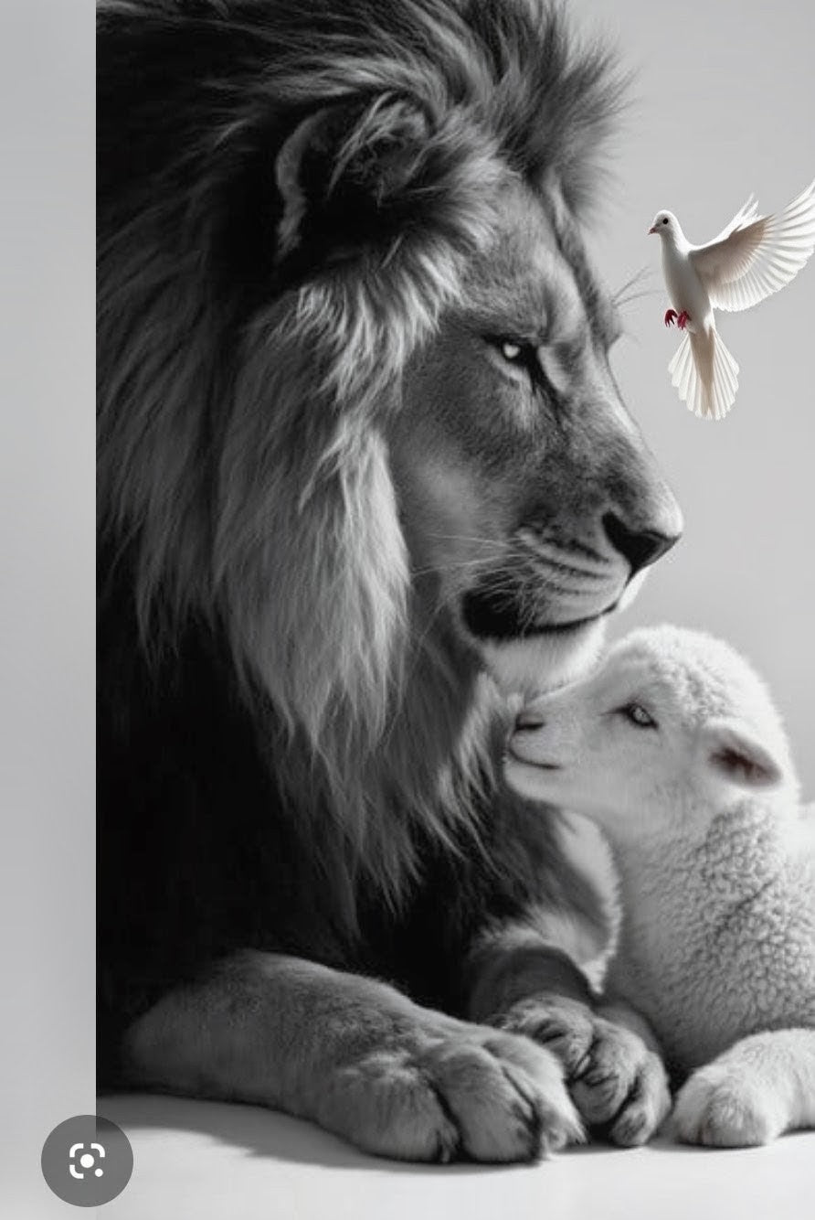 Lion, Lamb & Dove of Peace